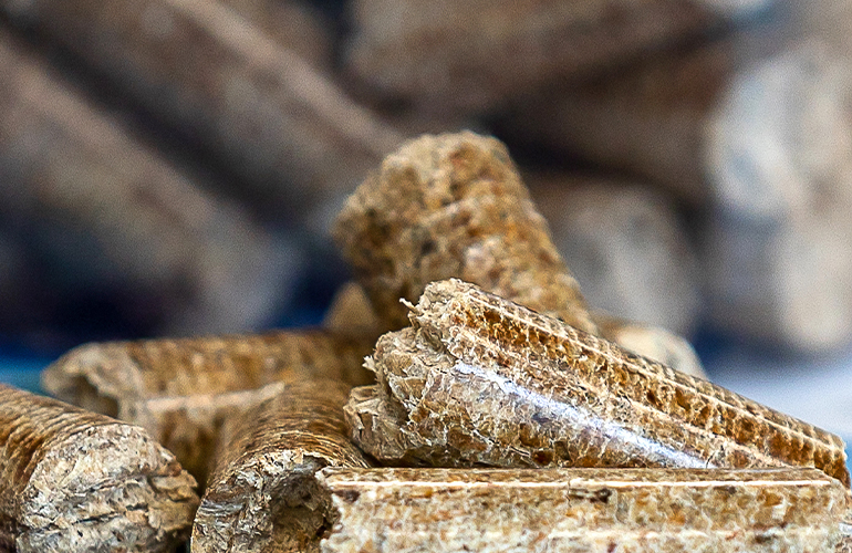 2023 sets the spotlight on biomass pellets